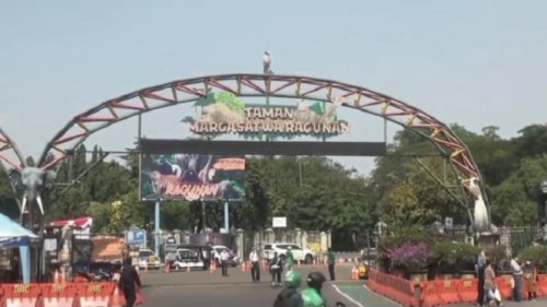 Ragunan Buka Wisata Malam Per 11 Oktober Mendatang, Berapa Tarif Masuknya?