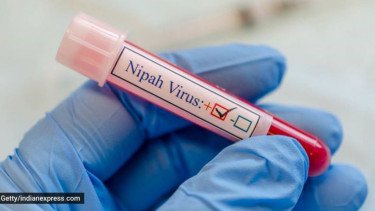 Virus Nipah Belum Ada Vaksin, Begini Cara Efektif Cegah Penularannya!
