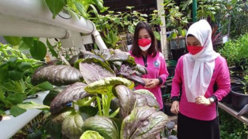 Penuhi Janji, Pramono Tingkatkan Dana Operasional Dasa Wisma
