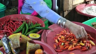 Harga Cabai Turun dan Telur Stagnan di Rp 33.000 Per Kg, Catat Daftar Lengkapnya