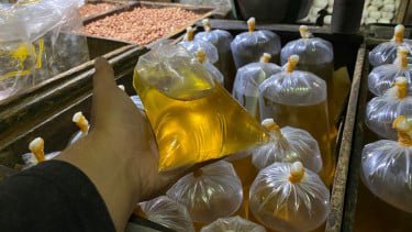 Harga Telur Ayam Naik Lagi ke Rp 32.050 Per Kg, Diikuti Minyak Goreng Curah Rp 19.500 Per Liter