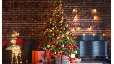 Ternyata Bukan Sekadar Tradisi, Ini Alasan Mengejutkan di Balik Tradisi Warna Merah dan Hijau Saat Natal
