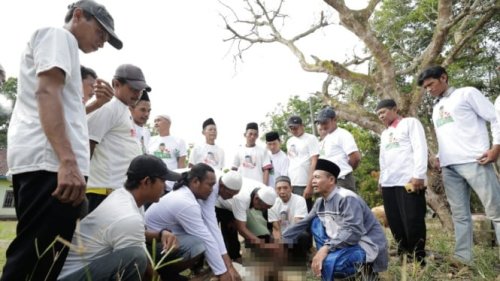 Iustrasi Hewan Kurban, Bank Mandiri salurkan daging kurban kepada kaum dhuafa, Daging kurban dibungkus daun jati dan daun pisang di masjid di DIY, Mas Bro, sapi kurban yang dibeli Presiden Prabowo di Mojokerto. (Foto: M Lutfi Vermansyah/VIVA Jatim), Panduan Lengkap Tata Cara Kurban dalam Islam: Ibadah Penuh Makna di Hari Raya Idul Adha