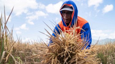 Industri Etanol Dinilai Beri Peluang Besar Bagi Petani dan UMKM