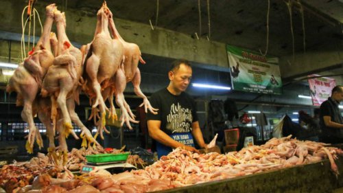 Harga Daging Sapi, Daging Ayam, Beras, hingga Minyak Goreng Kompak Turun, Cek Daftarnya