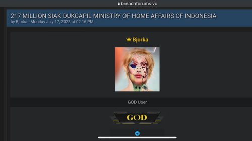 Polisi Bongkar Fakta Mengejutkan: Cuma WFT yang Pakai Nama Bjorka di Twitter Sejak 2020