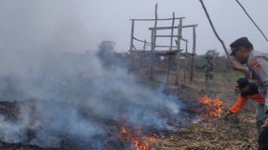 BMKG Peringatkan Potensi Kebakaran Hutan di Jambi Akibat Penurunan Curah Hujan