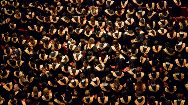 IMF Peringatkan Gelombang 'Tsunami AI', Fresh Graduate Bisa Makin Sulit Dapat Kerja