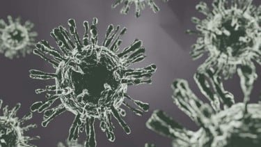 Varian Baru Virus Flu Muncul di China, Akankah Berpotensi Picu Pandemi Baru?