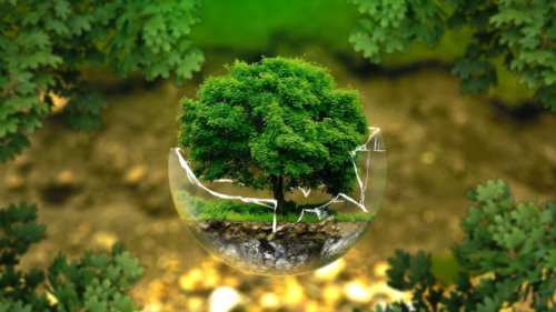 Milenial dan Gen Z Peduli Lingkungan, Yuk Jadi Zero Waste Warrior Sejak Sekarang!
