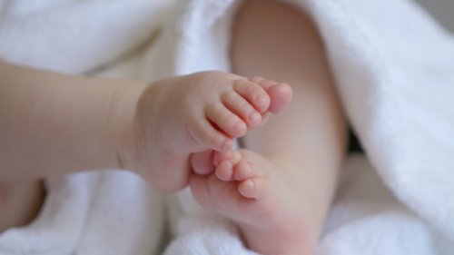 Peran DHA dan Asam Folat: Nutrisi Penting untuk Otak dan Tubuh Bayi Sejak dalam Kandungan