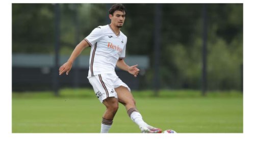 Nathan Tjoe-A-On Resmi Dilepas Swansea City