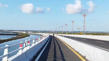 Kawanan Lebah "Serbu" Tol Bali Mandara, BKSDA Ungkap Penyebabnya