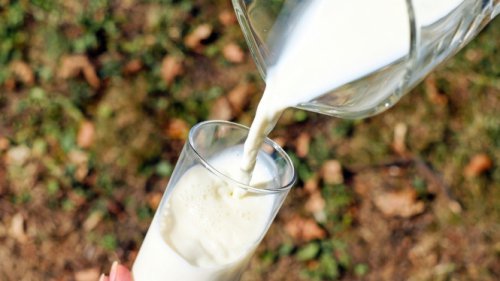 Segelas Susu Setiap Hari: Manfaatnya Ajaib Bukan Cuma untuk Tubuh, Otak, dan Kulit!