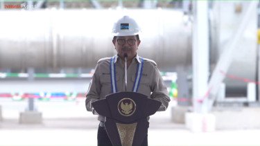 Bos Freeport Ungkap Update Terbaru soal Penambahan Saham Pemerintah 10 Persen