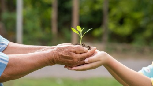 Ekonomi Hijau Naik Daun, Kolaborasi Desa dan Swasta Jadi Kunci