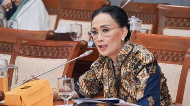 DPR Ingatkan Pemerintah Tak Abaikan Hukum Demi Eks TNI AL yang Ingin Jadi WNI Lagi