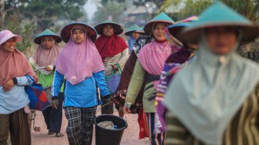 Hidupkan Semangat Kartini Masa Kini, Simak Cerita Ibu-ibu dari Pesisir Rembang Ini