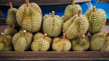 Pemerintah Malaysia Didesak Tetapkan Durian Sebagai Buah Nasional Malaysia
