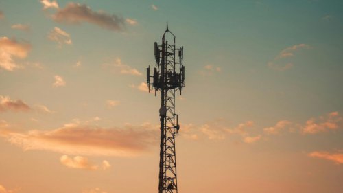 Albert Wicaksana Batal Mundur dari Posisi Direktur Bakrie Telecom, Manajemen Buka Suara