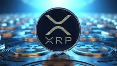 Kamu Punya Duit Rp8 Juta Bisa Investasi di Sini