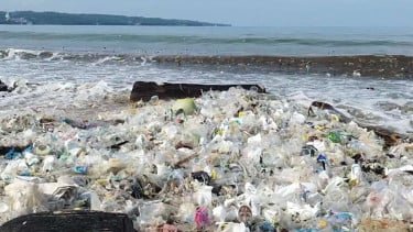 Ajarkan Peduli Lingkungan, Ditjen Polpum Kemendagri Ajak Mahasiswa Bersih-bersih Pantai di Bali
