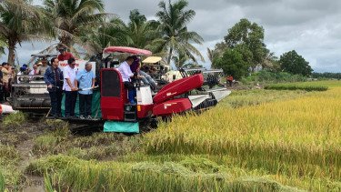 Produksi Beras RI Sepanjang 2025 Tembus 34,69 Juta Ton, BPS: Naik 13,29 Persen dari 2024