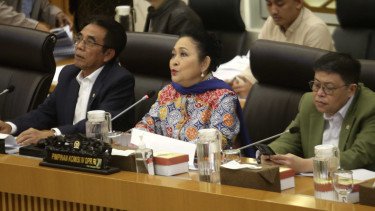 Kasus Beras Oplosan, Komisi IV DPR Bakal Panggil Mentan Amran