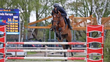 AYG Bahrain 2025: Lawan 17 Negara, Atlet Berkuda Equestrian Berjuang Torehkan Prestasi Indonesia