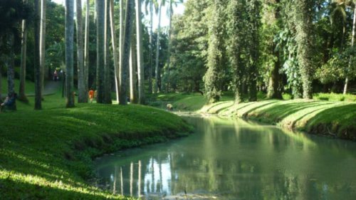 Taman Langsat Jadi Spot 'Mesum' Pilihan Anak Muda Jakarta, Dibuka 24 Jam!