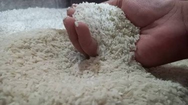 FAO: Harga Pangan Global Naik 2,4 Persen Imbas Melonjaknya Biaya Energi