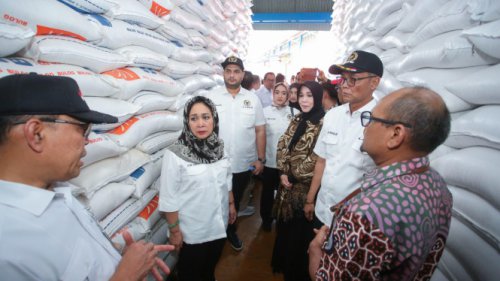 Surplus Stok Beras 4 Juta Ton, Titiek Soeharto: Pemerintah Komitmen Jaga Ketahanan Pangan