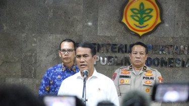 Mentan Amran Mau 'Sikat Habis' Produsen yang Oplos Beras Premium