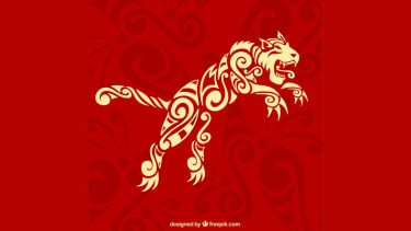 Macan Paling Beruntung! 6 Shio Diprediksi Dapat Hoki pada 17 November 2025