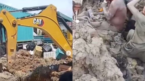 Viral Momen Warga di Desa Bagan Asahan Nekat Gali Mangga Ilegal yang Telah Disiram Cairan Pembusuk