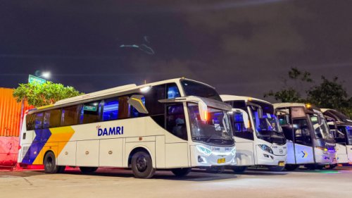 Naik Damri ke Bogor Cuma Rp 45 Ribu di Momen Hari Raya Idul Adha 2025, Catat Tanggalnya