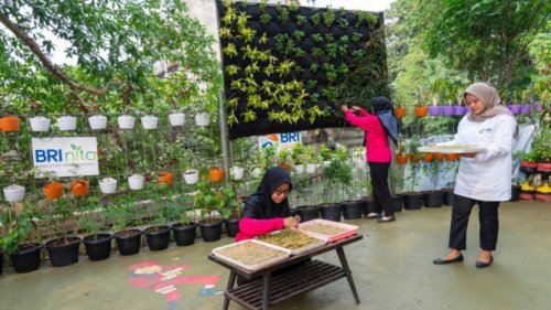 BRI Diakui atas Peran Nyata dalam Urban Farming dan Pemberdayaan  Perempuan