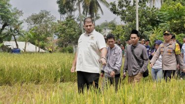 DPR Ingatkan Distributor Jangan Coba-coba Gelapkan Pupuk Subsidi untuk Petani!