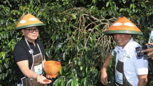 Kembangkan Kopi-Kakao, Wamen BUMN Dukung Program Kemitraan Perhutani di Bondowoso