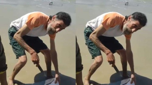 Demi Bertahan Hidup, Pria Paruh Baya di Gaza Ini Terpaksa Makan Ikan Mola