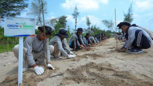 Hari Lingkungan Hidup Sedunia, BRI Pertegas Komitmen Menjaga Ekosistem Lingkungan melalui BRI Menanam &ndash; Grow &amp; Green