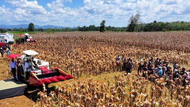 Dorong Kemandirian Pangan, Pupuk Indonesia Perkuat Ekosistem Inovasi Pertanian