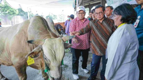 Pemprov Jakarta Kerahkan 300 Juleha untuk Idul Adha, Warga Diimbau Tak Buang Limbah Hewan Kurban ke Saluran Umum