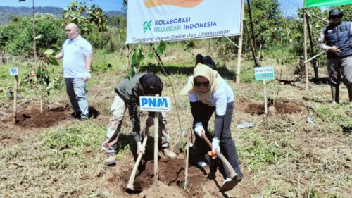 Kontribusi PNM Hijaukan Indonesia Lewat Penanaman Pohon dan Pelestarian Terumbu Karang