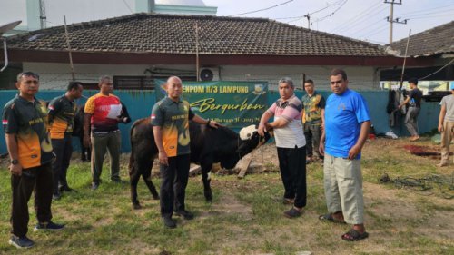 Aksi Nyata Polisi Militer Denpom II/3 Lampung Bagikan Ratusan Paket Daging Kurban untuk Masyarakat Sumur Putri
