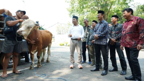 SIG Tebar 237 Ekor Hewan Kurban di 20 Provinsi Wilayah Operasional