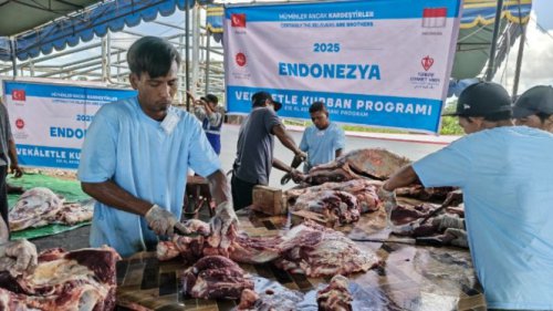 Kolaborasi Antar Negara, Human Initiative Gandeng TDV Salurkan 730 Ekor Sapi ke 3 Provinsi