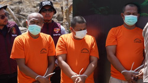 4 Orang Ditangkap Merambah Hutan Lindung Si Abu Riau, Ternyata Dibikin Lahan Sawit