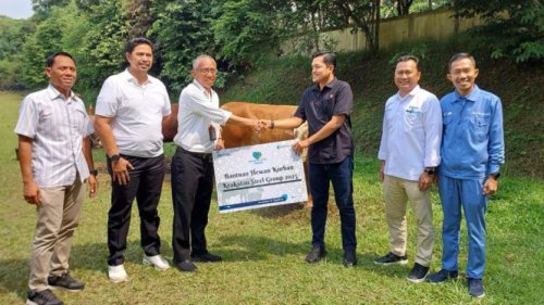 Rogoh Kocek Rp 2 Miliar, Krakatau Steel Salurkan 189 Hewan Kurban ke Warga Cilegon