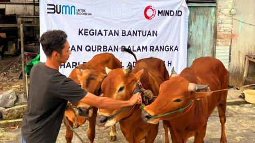 Grup MIND ID Salurkan 732 Hewan Kurban di Idul Adha